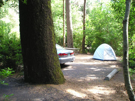 Honeyman State Park and Campground