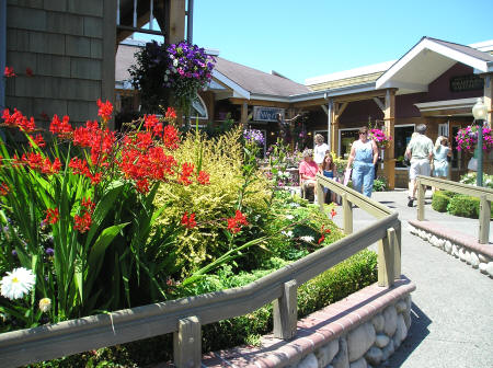 Cannon Beach Flowers, Gardens and Hanging Baskets